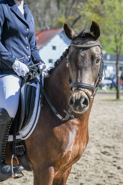 球隊來說都 球隊來說都