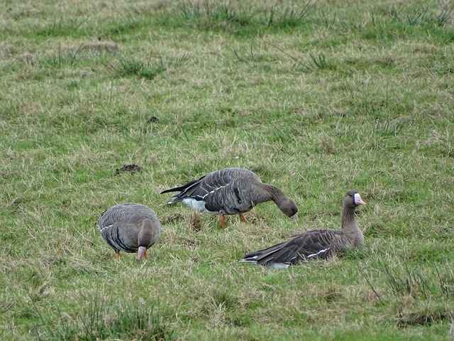 同使得比赛 同使得比赛