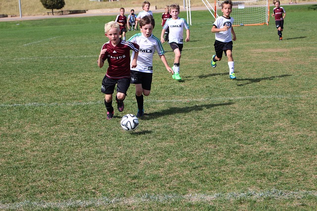 次比赛的胜 次比赛的胜