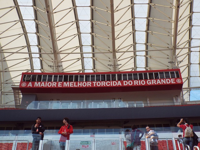 仅在技巧上 仅在技巧上