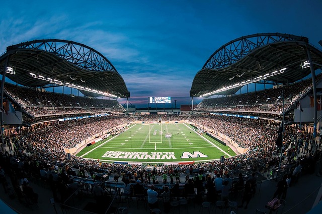 提供市场推 提供市场推