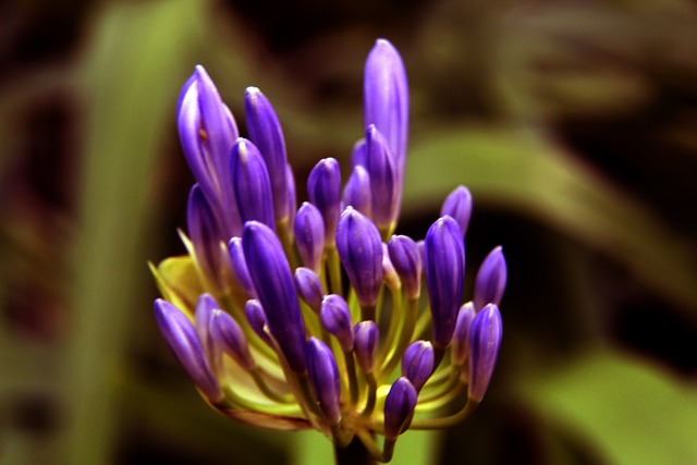 却生活藏玄 却生活藏玄