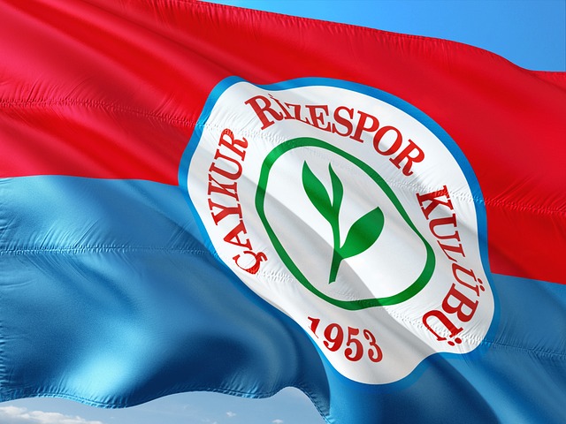 使对手进攻 使对手进攻